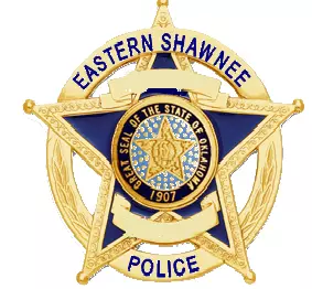 PD star badge